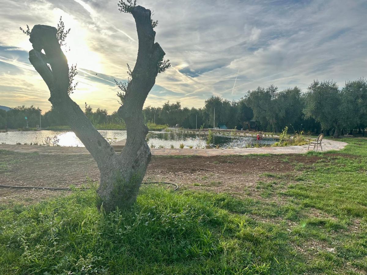 Agriturismo Biorussi Carpino ภายนอก รูปภาพ