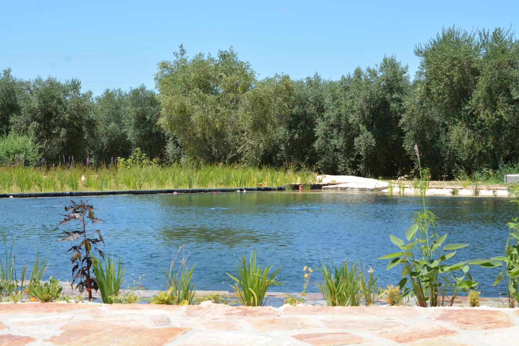 Agriturismo Biorussi Carpino ภายนอก รูปภาพ